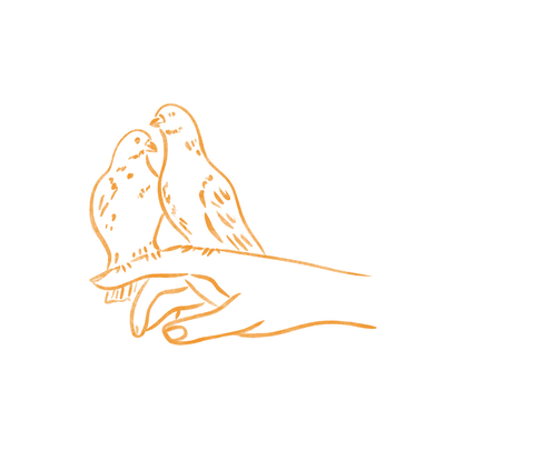 Copyright Blossie Hand Holding Doves Illustration Australia