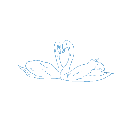 Copyright Blossie Swan Love Illustration 